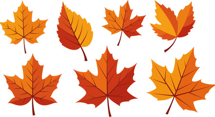 Colorful Autumn Leaves Vector Graphic Collection, Perfect for Seasonal Designs and Illustrations