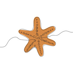 Starfish isolated on white, top view, beach and marine concept  on transparent background