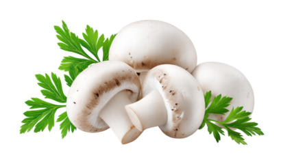 Mushroom isolated transparent background with fresh green parsley leaves for natural food design
