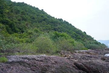 Rocks and trees on the seashore, travel, vacation, landform