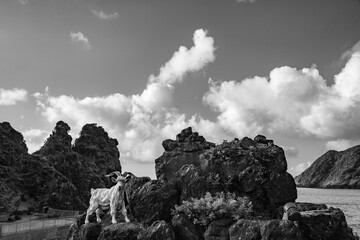夏の奄美大島の空と海。