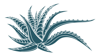 Stylized Teal Aloe Vera Plant Illustration.