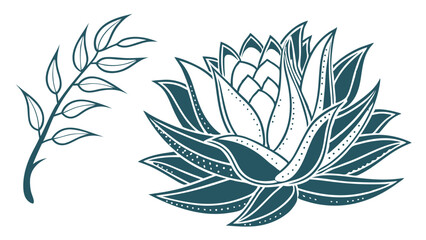 Teal Line Art Botanical Illustration Succulent and Branch.