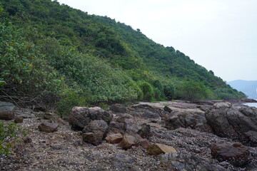 Rocks and trees on the seashore, travel, vacation, landform