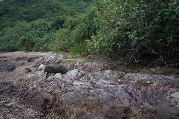 Rocks and trees on the seashore, travel, vacation, landform