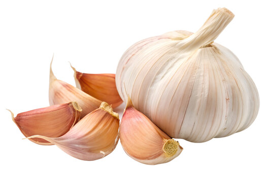 Garlic Bulb and Cloves Isolated on White