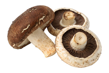 Fresh Shiitake and Portobello Mushrooms