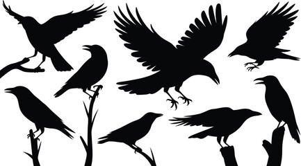 Fototapeta premium Black Raven Silhouettes Flying, Perched, and Standing Crows on Branches Isolated on White
