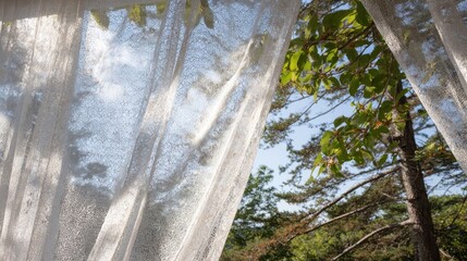 Delicate lace curtains frame a view of trees and a partly cloudy sky.