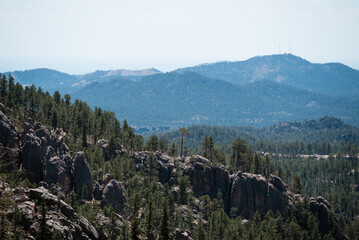 custer state park south dakota