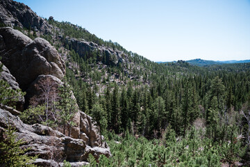 custer state park south dakota