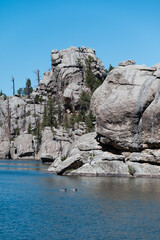 custer state park south dakota