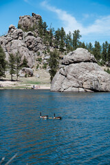 custer state park south dakota