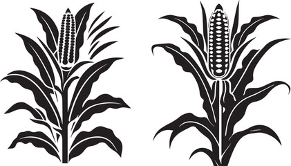 Silhouette of corn plant growing with leaves vector on white background  © Irfan Vector 