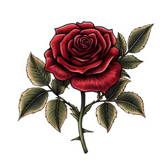 a beautiful rose flower