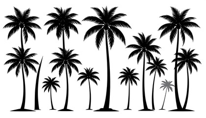 Silhouettes of various palm trees (1)