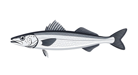 Obraz premium Realistic Illustration of a Silver Barracuda Fish Swimming in the Ocean