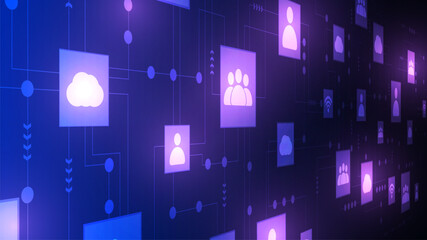 Networks and connectivity in the cyber age