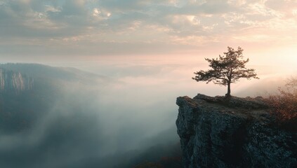 Misty mountaintop with lone tree at sunrise
