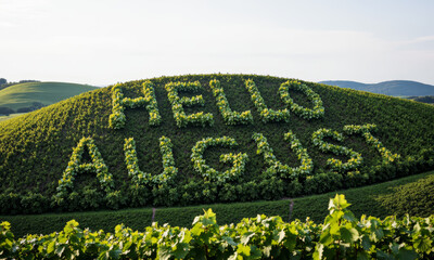 A Shot of a Vineyard, with the Words "Hello August" Spelled Out by the Pattern of Grapevines on a Rolling Hill