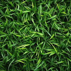 Innovative green texture design featuring lush grass elements symbolizing ecological awareness and sustainable living promoting environmental consciousness and nature appreciation