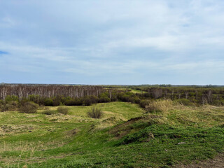 Landscape with field, forest in the distance and overcast sky.