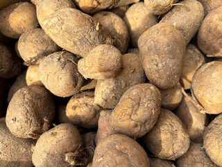 Old potatoes. Dry potato tubers. The view from the top.