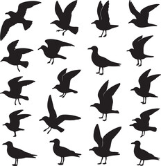 Black silhouette seabirds in flight and standing white flying