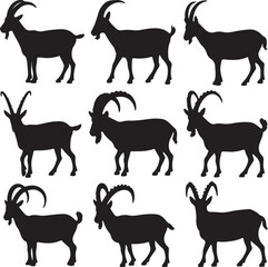 Fototapeta premium Black silhouettes of ibex goats in various poses animal