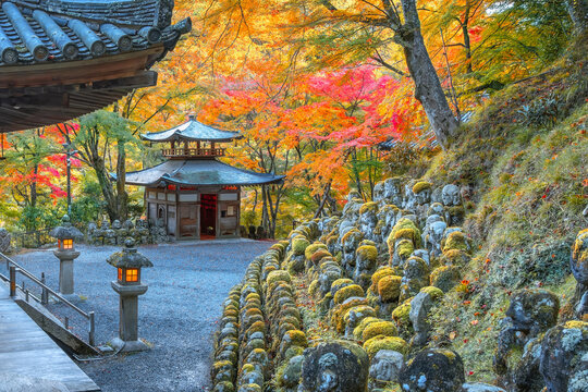 Scenic view of Otagi Nenbutsu-ji temple with beautiful foliage in autumn in Kyoto, Japan - Powered by Adobe