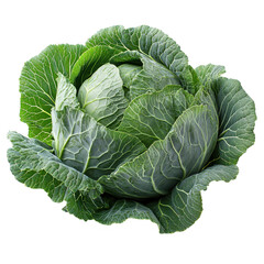 Fresh green cabbage head with textured outer leaves and crisp inner core isolated on transparent background