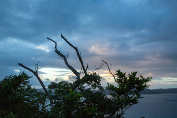 夏の奄美大島の空。積乱雲。夏雲。