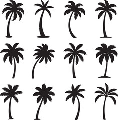 Fototapeta premium Twelve black palm tree silhouettes on a white background palm trees tropical