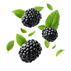 Fresh blackberries with green leaves, vibrant clusters showcasing natural gloss, ideal for healthy recipes or desserts. Isolated on white background or PNG