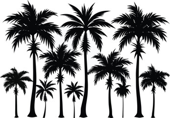 Collection of diverse palm trees silhouette isolated on transparent background