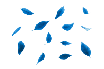 a bunch of blue leaves flying in the air