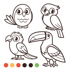 Naklejka premium Cute Cartoon Birds Coloring Page Owl Parrot Toucan