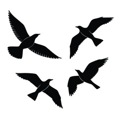 Obraz premium Four Black Bird Silhouettes Flying Vector Elements