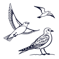 Fototapeta premium Three Dark Blue Birds Hand Drawn Vector Illustration White Background
