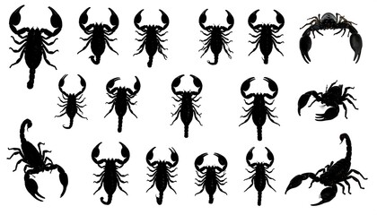 Silhouettes of scorpions