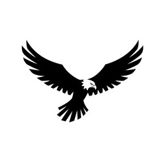 Naklejka premium eagle in flight