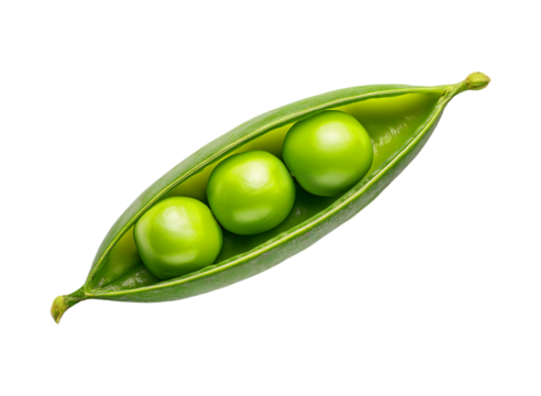Three fresh green peas in a pod isolated on a transparent background