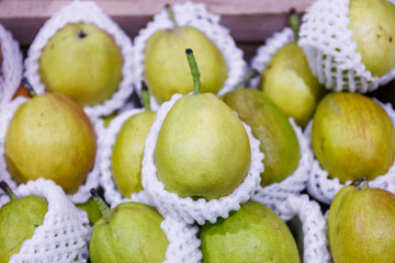Close-up of fresh ripe fragrant pears protected in white foam netting in fruit market 