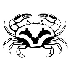 Detailed black and white line art of a crab with textured claws and body, ideal for biology diagrams, logos, marine designs, or educational illustrations