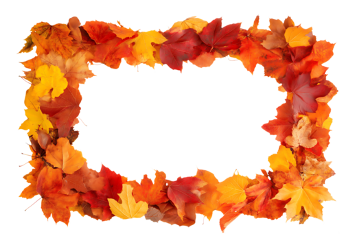 The rectangular frame made of autumn leaves isolated on a transparent background