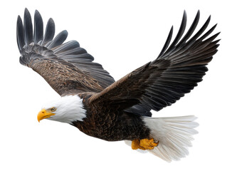 Fototapeta premium Majestic Eagle Soaring: A bald eagle soars effortlessly, its wings spread wide against the sky, embodying freedom and strength. This iconic symbol of power and grace glides through the air.