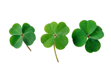 Three Green Shamrocks on Transparent Background, PNG