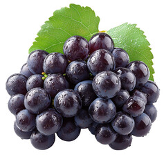 A ripe bunch of dark purple grapes with water droplets and green leaves isolated on transparent background