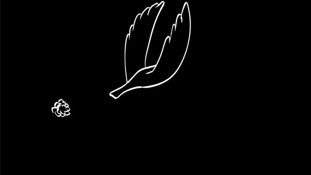 2d Animation cartoon character drawing of a bird, dove or pigeon flying through flack flak explosions on white, black and green screen in 4k ultra-high-definition.