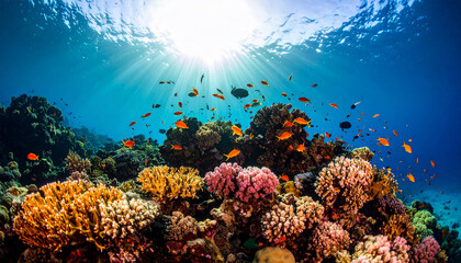 Obraz premium Underwater Oasis: Dive into a vibrant underwater scene, alive with a coral reef, teeming with marine life and bathed in the sunlight's glow, a testament to nature's artistry.